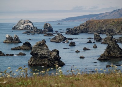 Bodega Bay Coastline