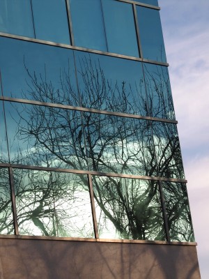 Wordless Wednesday Images of Winter in Northern California:Winter Reflections photo by Remy Gervais