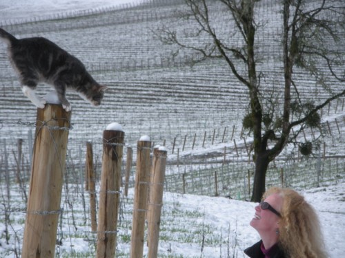 When Living the American Dream Heeds The Call of the Wild - Dogcat calls for Wild Adventure