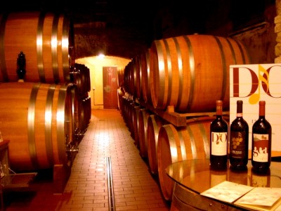 Photography Dream Inspiration: Italian Winery in Italy