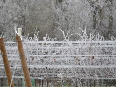 dreamy country holiday scene Willamette Valley Oregon