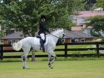 'I Can Do It' Objects to Help with my Equestrian Dream