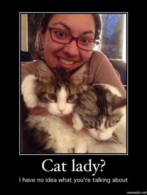 Cat Lady? Taking my first-steps-to-change