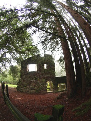 Wordless Wednesday: Fisheye Lens Inspiration at Jack London State Park