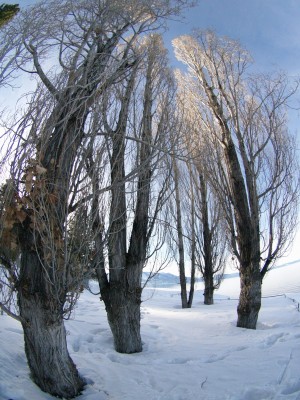 Wordless Wednesday: Fisheye Lens Inspiration with Lake Tahoe snow