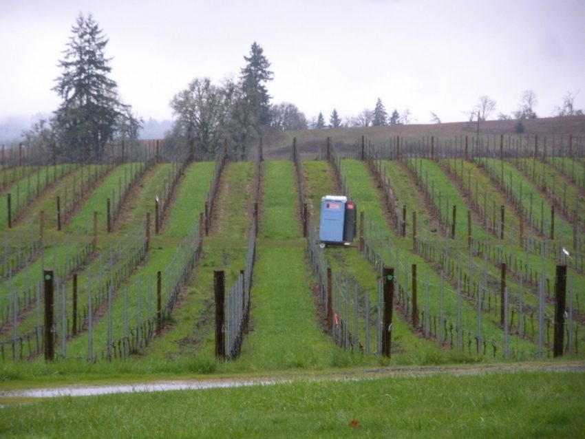 Living at a Vineyard in Willamette Valley: Moving the honey bucket