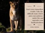 Take the difficult route which puts your patience under fire and upgrades your lionheartedness quote