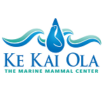 Inspirational website The Marine Mammal Center