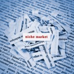 Guy Kawasaki: Find Your Niche To Find Your Dream