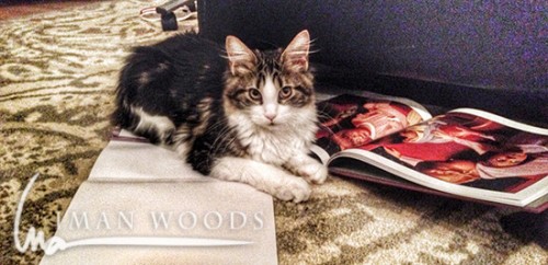 Freya (also a five month old Maine Coon) steals a book. Don't worry, I took it away.