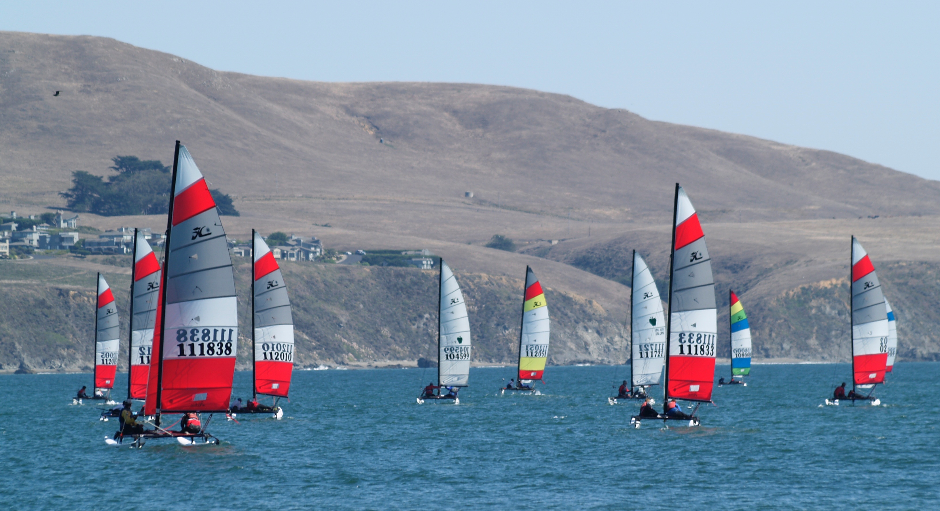 Photography Network: Bodega Bay Hobie Cat Boat Regatta