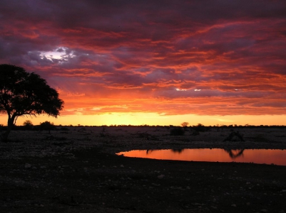 Rhino Africa Travel Destinations: Etosha Waterhole Sunset in Namibia by Natasha vonGeldern World Wandering Kiwi