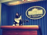 socks-the-cat-presentations-make-impression