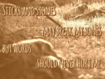 sticks and stones may breakmy bones but words will never hurt me