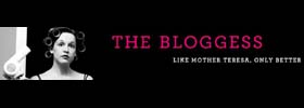 Top 8 Blogs By Women: The bloggess