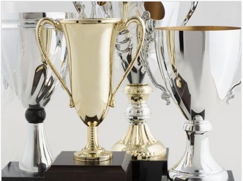 Top 8 Blogs By Women: Trophies