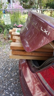 After Divorce:The Lumber for my garden project