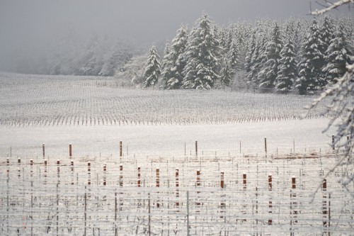 When Living the American Dream Heeds The Call of the Wild - Williamette Vineyards snow