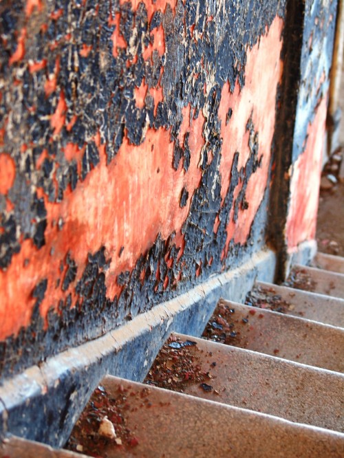 Wordless Wednesday: Angel Island textures in photography